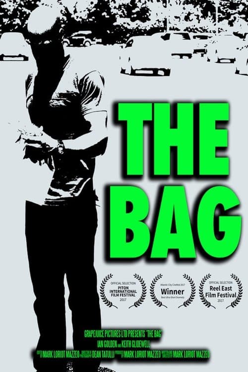 Poster for The Bag
