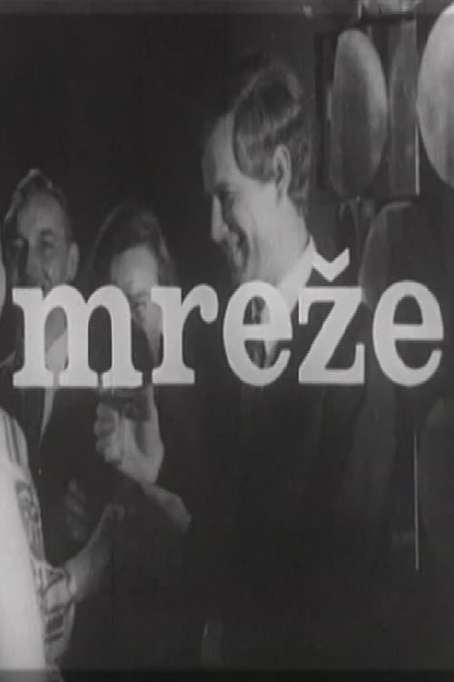 Poster for In the Net