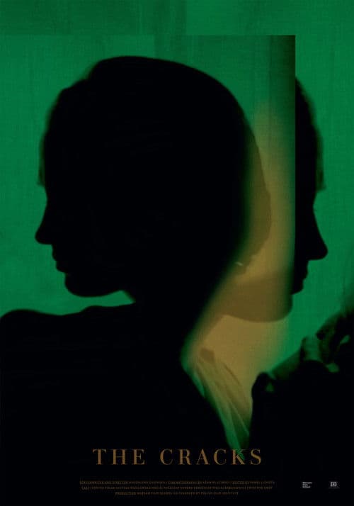 Poster for The Cracks