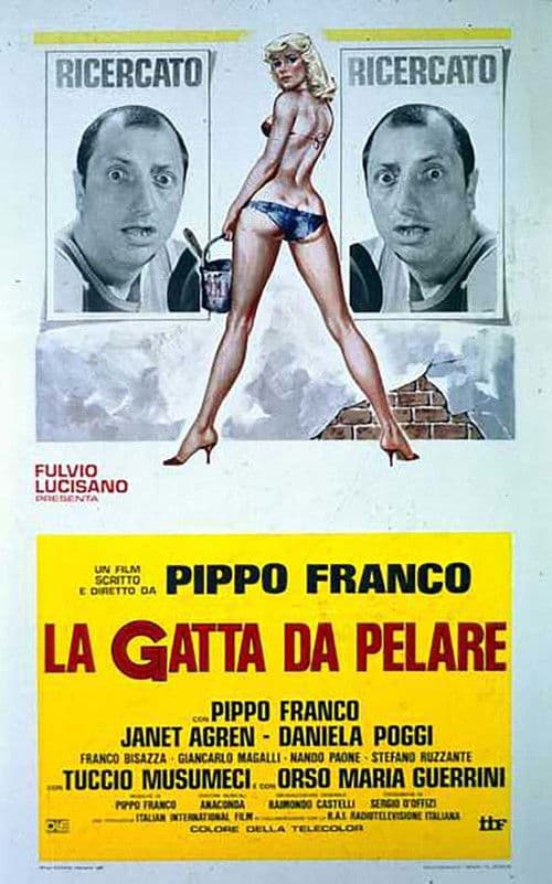 Poster for La gatta da pelare