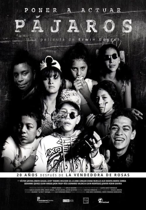 Poster for Making Birds Act