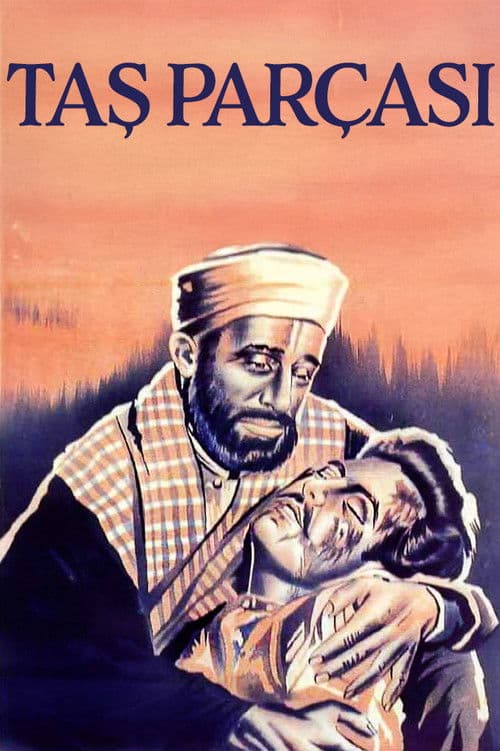 Poster for Taş Parçası