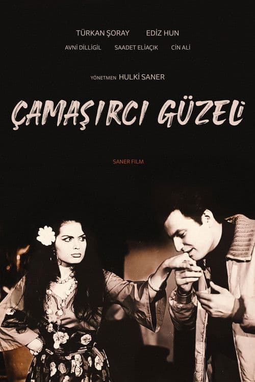 Poster for The Washer Beauty