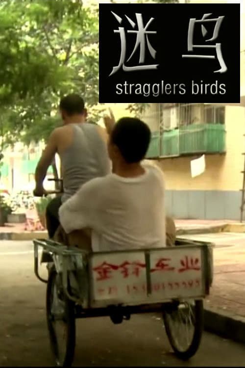 Poster for Stragglers Birds