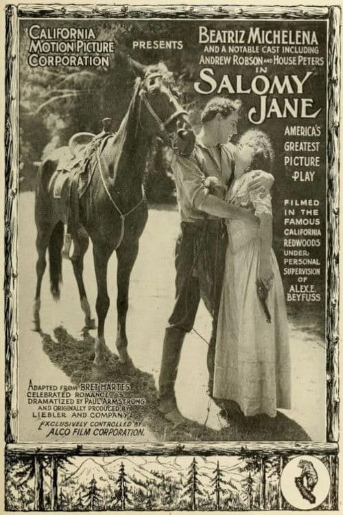 Poster for Salomy Jane