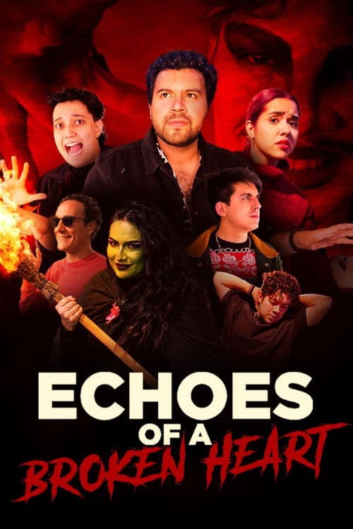 Poster for Echoes of a Broken Heart