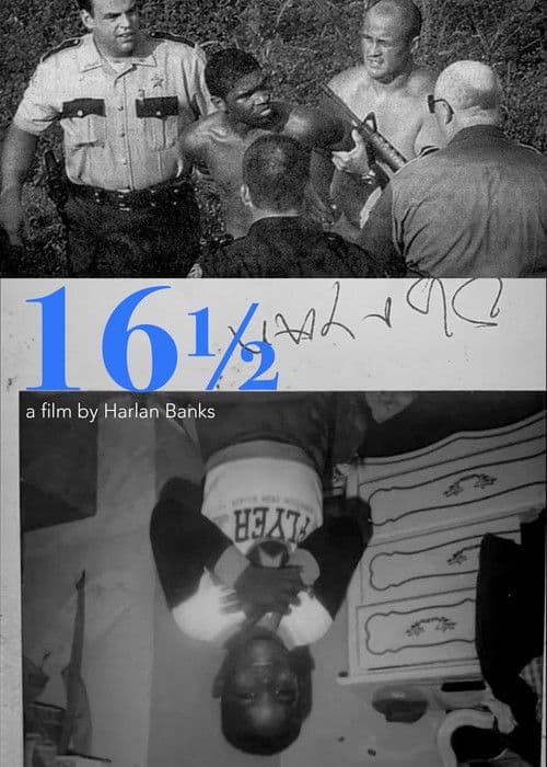 Poster for 16 1/2