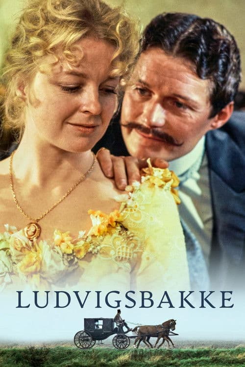 Poster for Ludvigsbakke