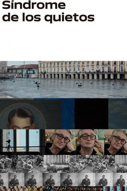 Poster for The Stillness Syndrome