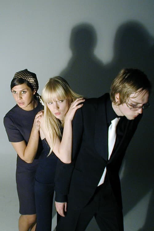 Poster for Who is Barði?