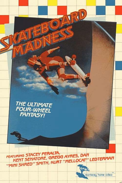 Poster for Skateboard Madness