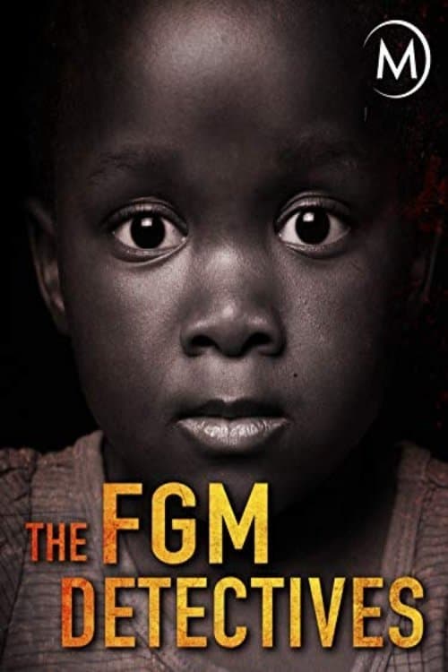 Poster for The FGM Detectives