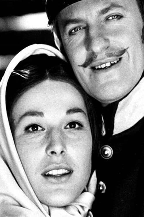 Poster for Det går an