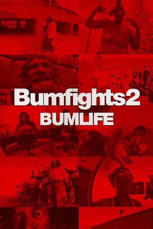 Similar title Bumfights Vol. 2: Bumlife