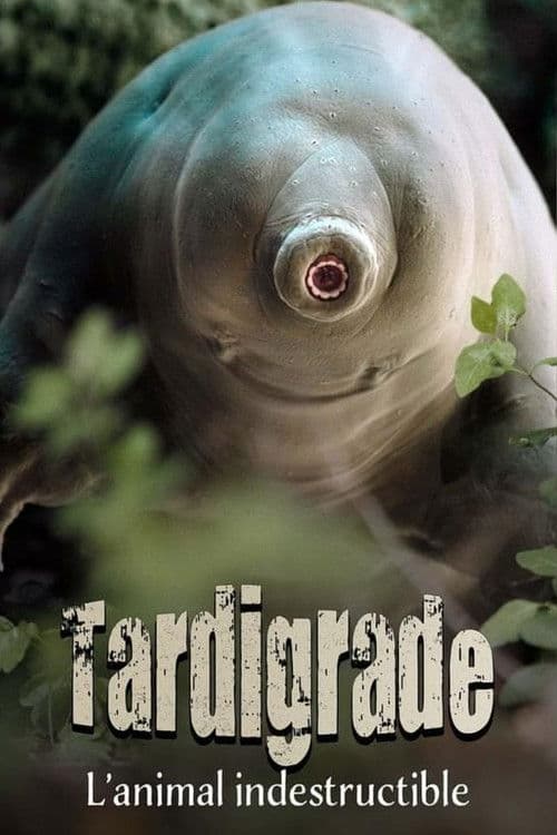 Similar title Tardigrade, l'animal indestructible