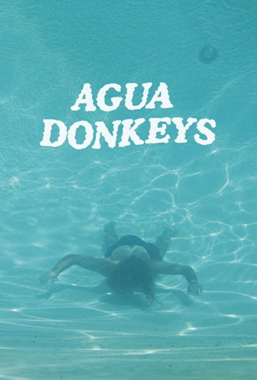 Poster for Agua Donkeys