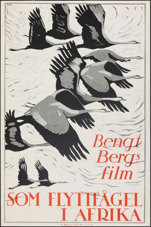 Similar title Som flyttfågel i Afrika