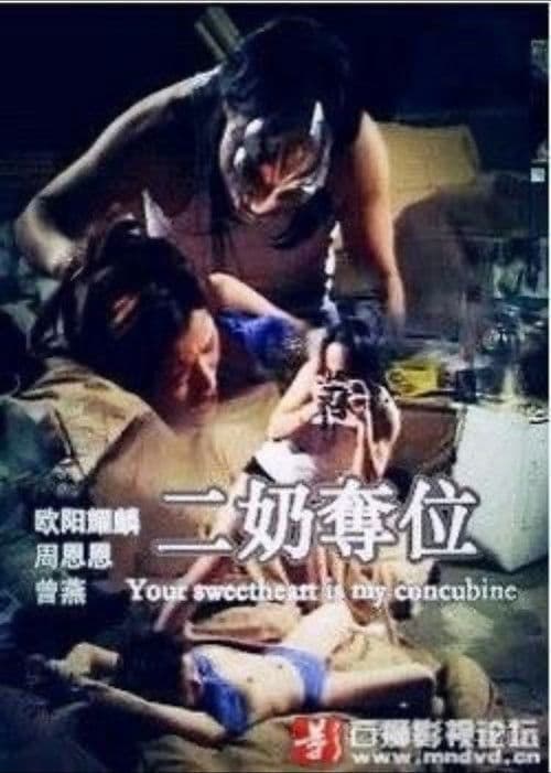 Poster for 二奶奪位