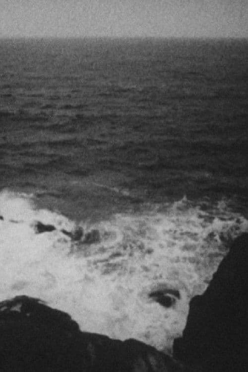 Poster for Travelogue: Portraits – Images from a journey