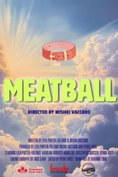 Poster for Meatball
