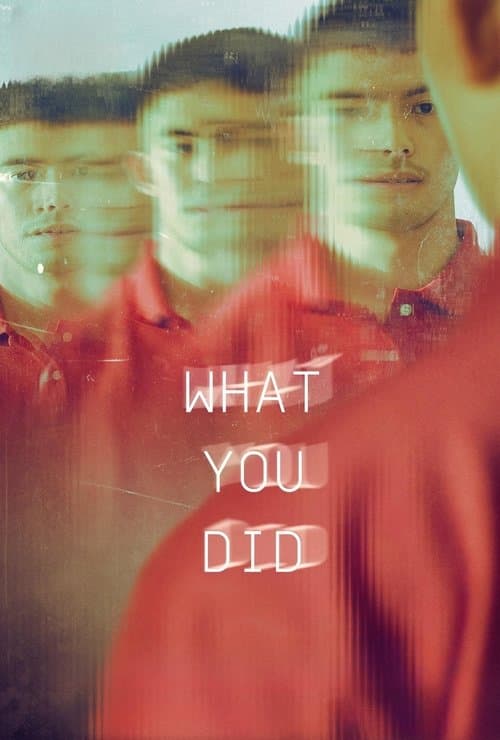 Poster for What You Did