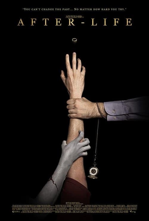 Poster for After-Life