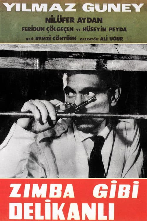 Poster for Zımba Gibi Delikanlı