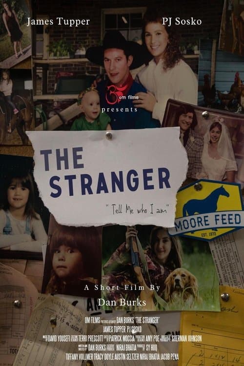 Poster for The Stranger