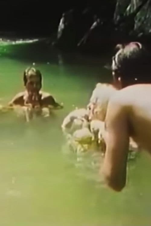 Poster for Sinfonia do Alto Ribeira