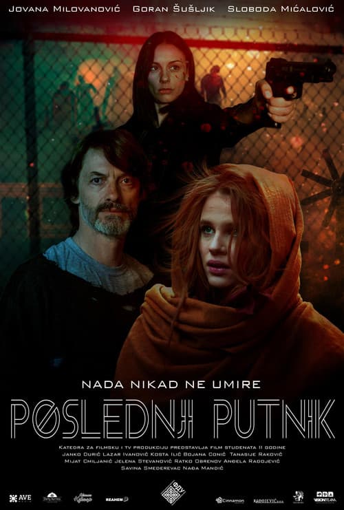 Poster for The Last Passenger