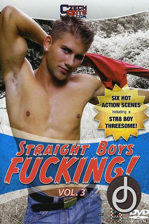 Poster for Straight Boys Fucking! 3