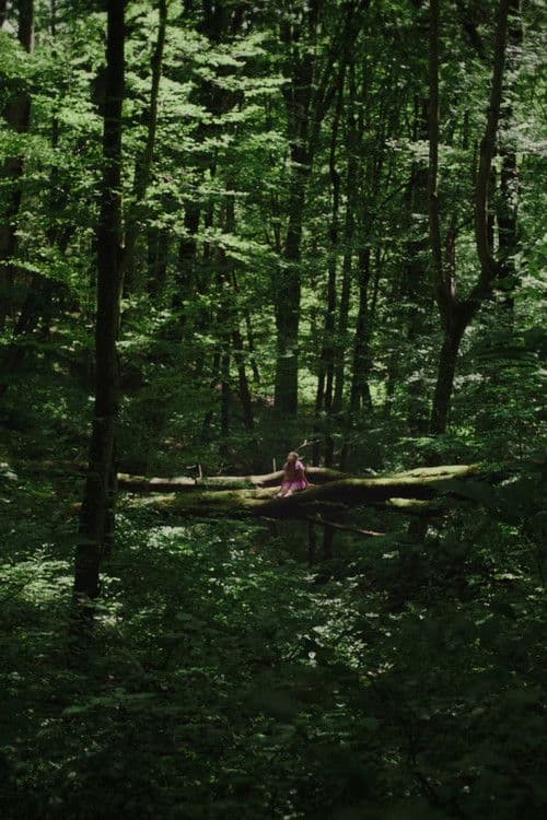 Poster for Kétoldali közelítés