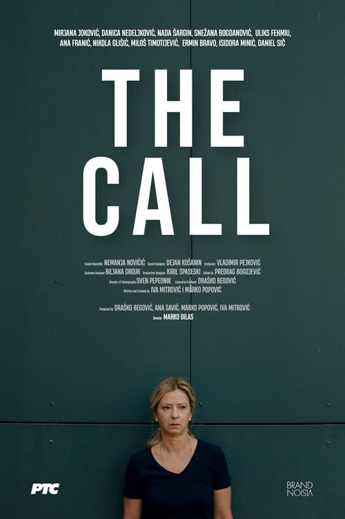 Poster for The Call