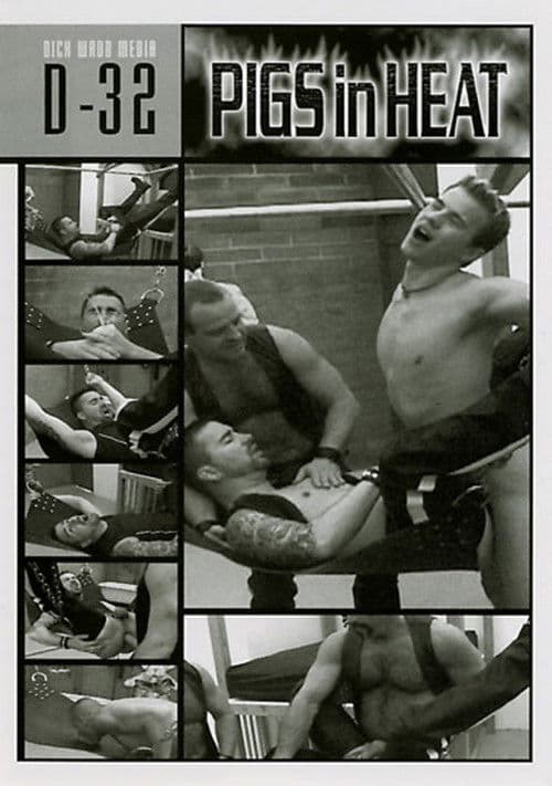 Poster for Pigs in Heat