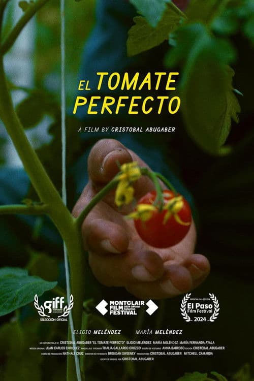 Poster for The Perfect Tomato