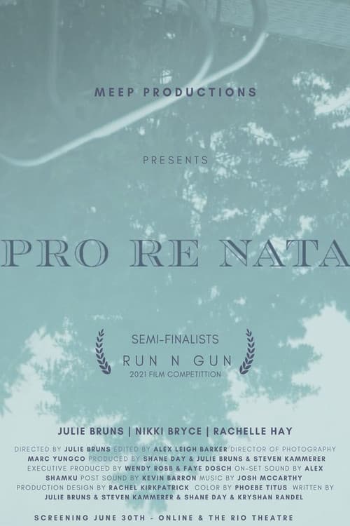 Poster for Pro Re Nata