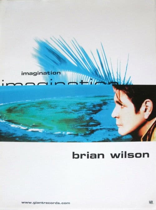 Poster for Brian Wilson’s Imagination