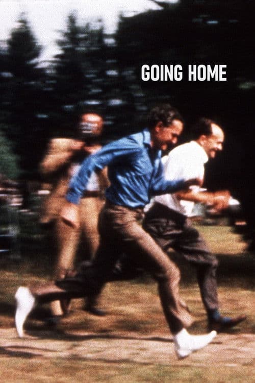 Poster for Going Home