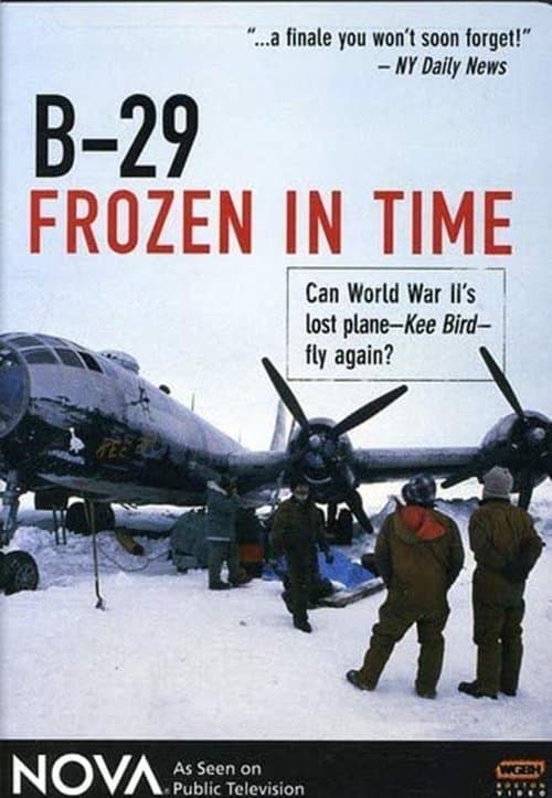 Poster for B-29 Frozen in Time