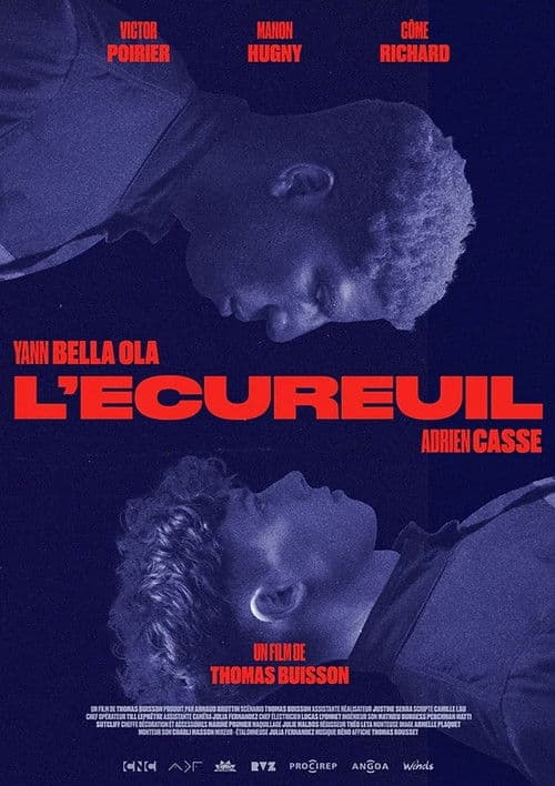 Poster for The Squirrel