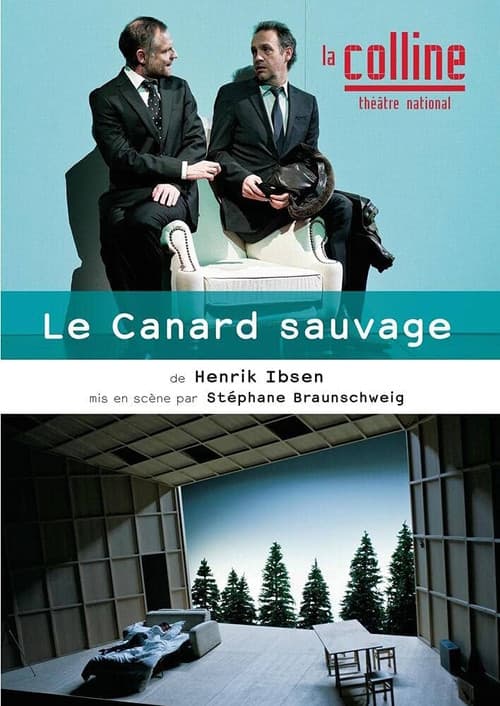 Poster for Le Canard sauvage