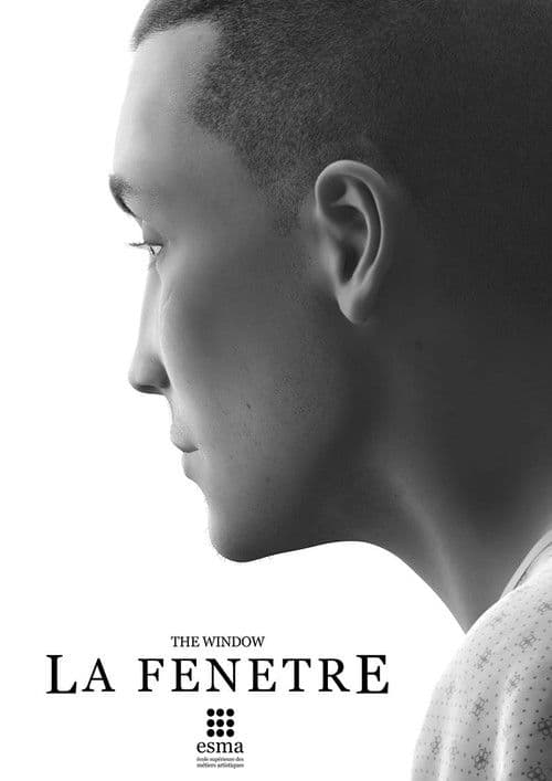 Poster for The Window