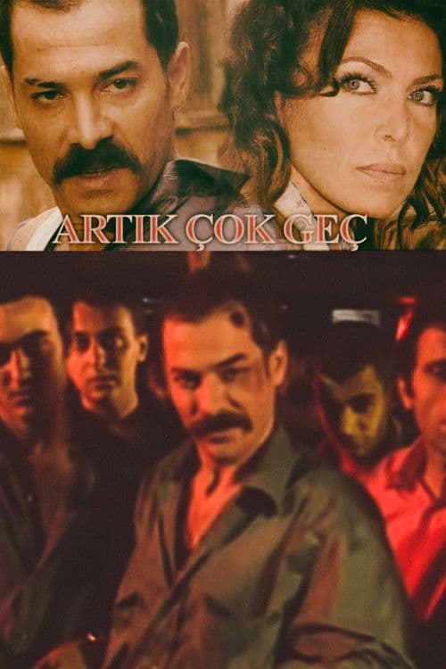 Poster for Artık Çok Geç
