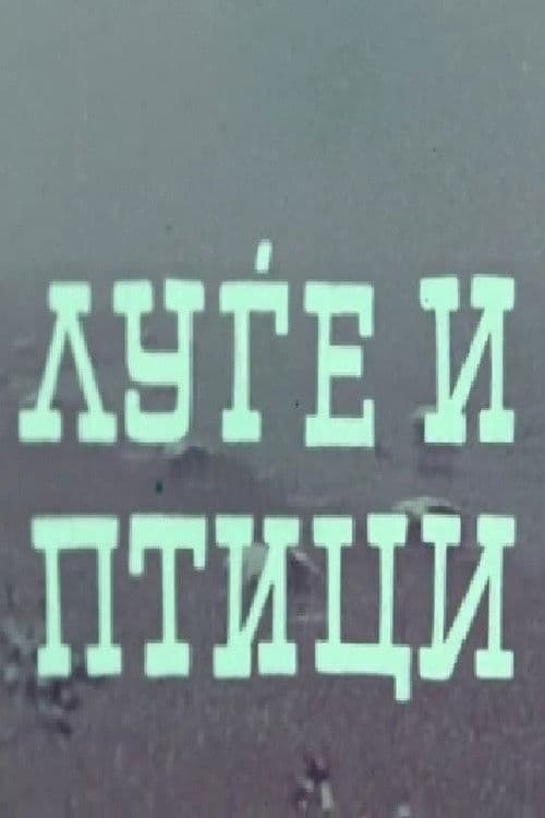 Poster for People and Birds