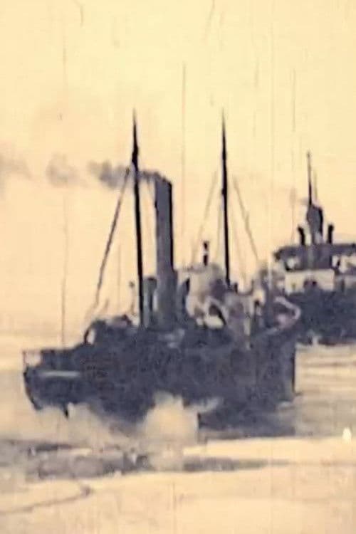 Poster for Icebreaker Krišjānis Valdemārs