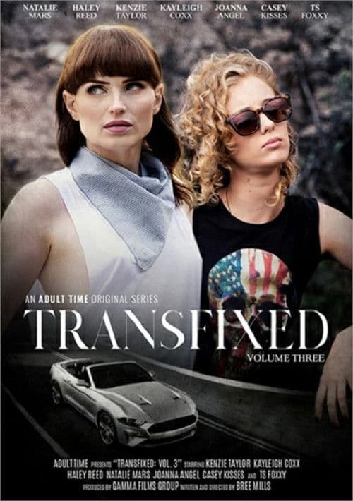 Poster for Transfixed 3