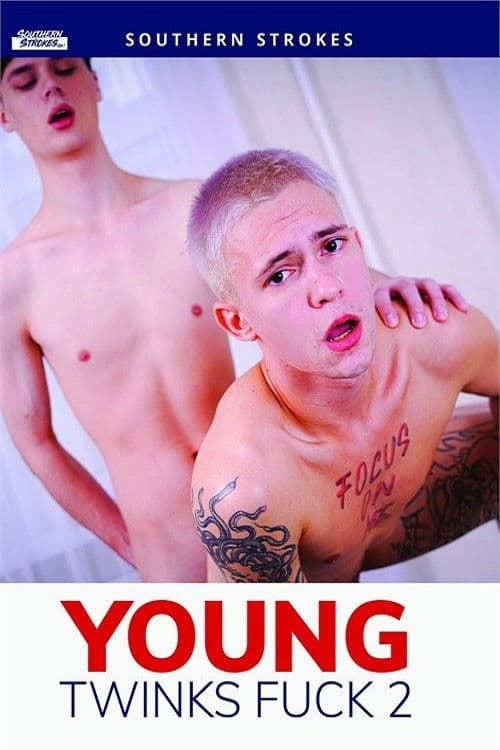 Poster for Young Twinks Fuck 2