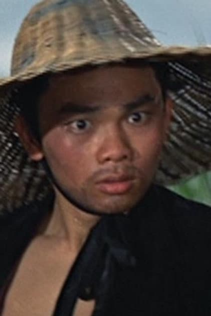 Actor Liu Gang
