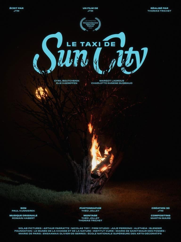 Poster backdrop for Le taxi de Sun City