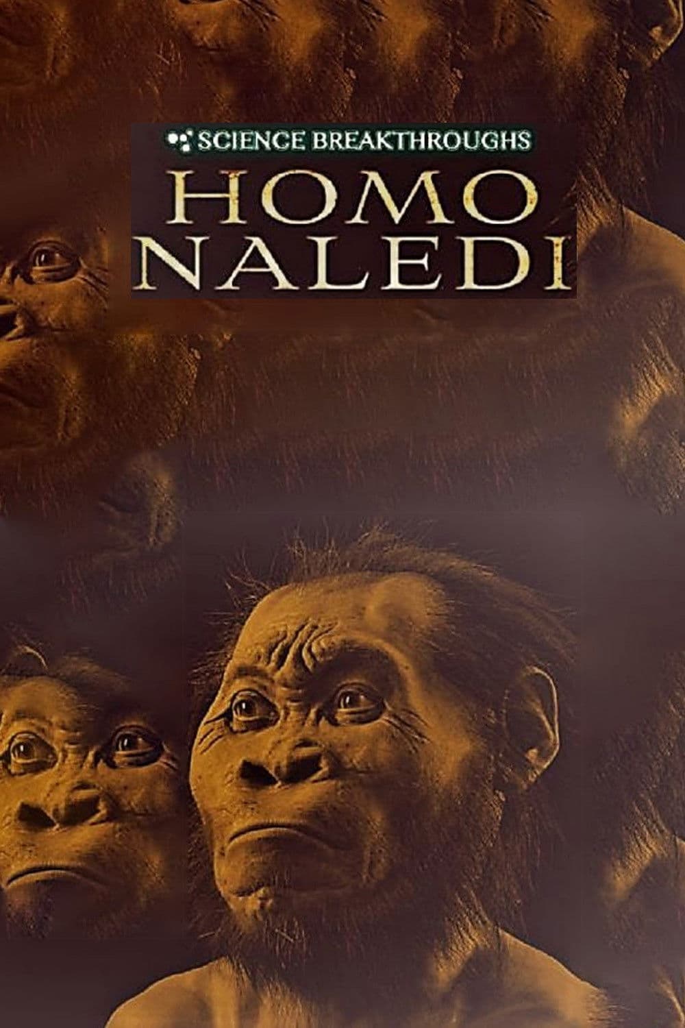 Poster backdrop for Science Breakthroughs: Homo Naledi
